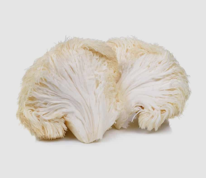 Lion's Mane