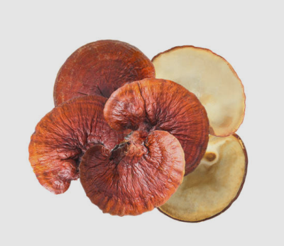 Reishi